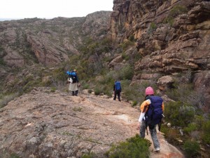 Briggs Bluff track above Beehive Falls