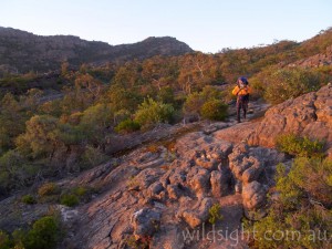 Track between Mount Gar and Briggs Bluff