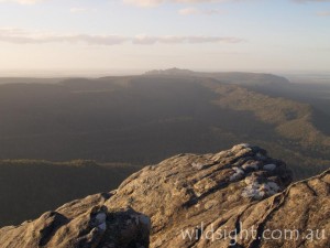View to Mount Stapylton from Briggs Bluff