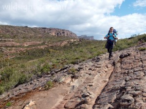 Descending from Briggs Bluff