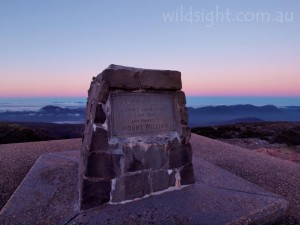 Dawn on Mount William