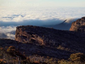 Major Mitchell Plateau