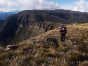 Hiking near Macalister Springs