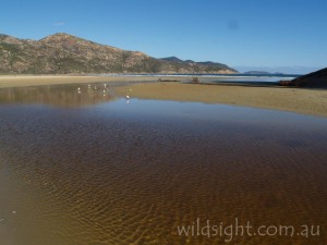 Norman Bay, Wilsons Promontory