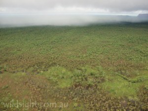 Rain over savannah woodland, Kakadu National Park