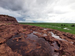 Kakadu floodplains in the wet season, viewed from Ubirr
