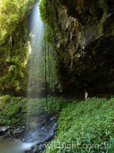 Crystal Shower Falls