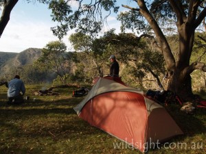 Camping on top of Bryce's Gorge