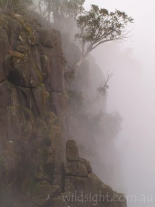 The Gorge in cloud