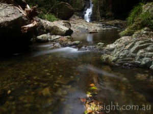Coachwood Falls, Rosewood Creek