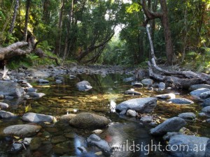 Emmagen Creek
