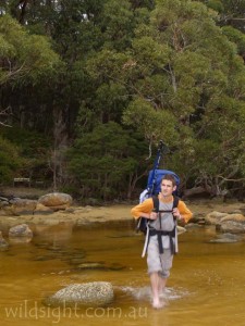Crossing Sealers Creek