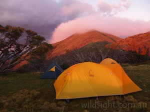 Tents near Little Feathertop