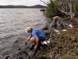 Fetching water from Lake Adelaide