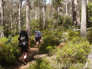 Hiking up track from Lake Rowallen