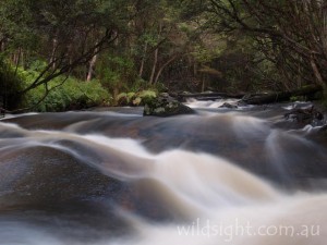 Murrinindi River