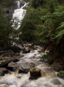 Steavenson Falls