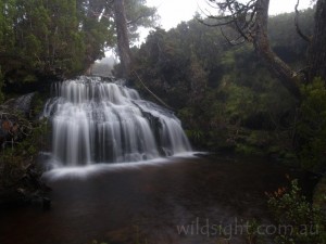 Waterfall Valley, Overland Track