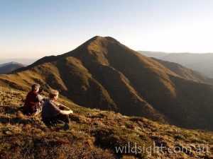 Morning view, Mount Feathertop