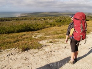View to Corner Inlet from 5 Mile Road