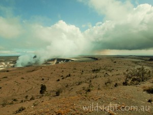 Kilaeua volcano