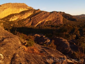 Mount Stapylton at sunset
