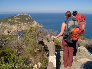 South East Point from Lighthouse Track