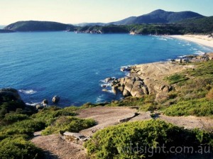 Squeaky Beach from Pillar Point