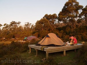 Wild Dog Creek campsite