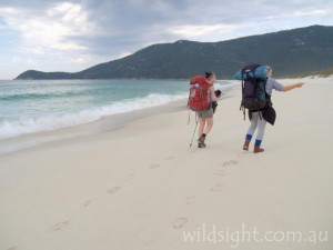 Trekking along Waterloo Bay