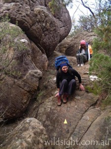 Typical Grampians hiking track