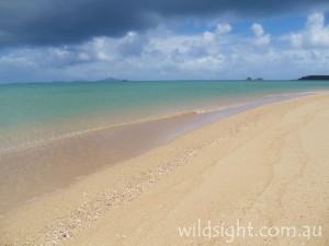 Brampton Island
