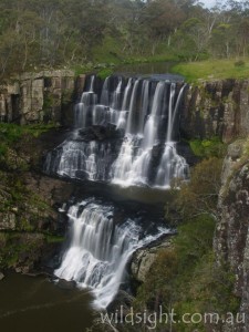 Ebor Falls