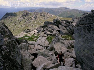 Climbing Mount Townsend