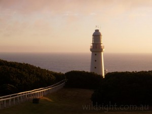 Cape Otway Lighthouse