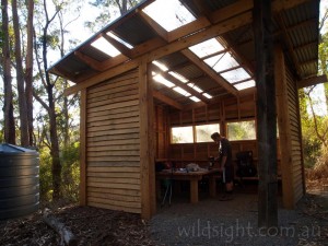 Elliot Ridge campsite, Great Ocean Walk