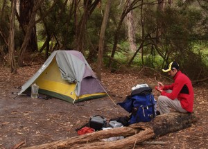Refuge Cove campsite