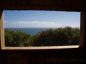 View from toilet at Devils Kitchen campsite