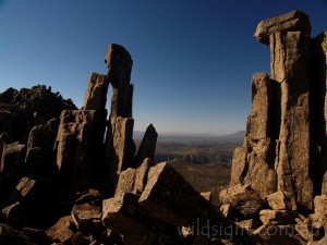 Rock spires on Cradle Mountain summit