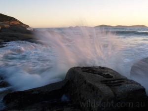 Sunset wave at Squeaky Beach