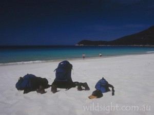 Taking a dip in Waterloo Bay