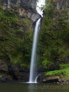 Nandroya Falls