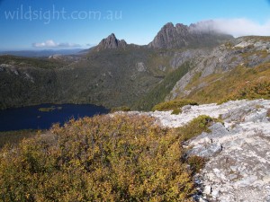 Cradle Mountain from Marions Lookout