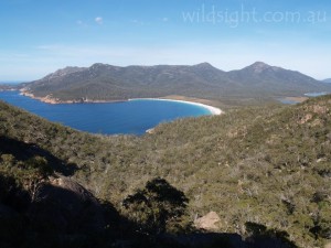 Wineglass Bay from lookout