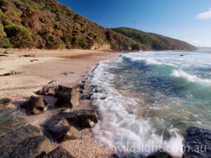 Blanket Bay