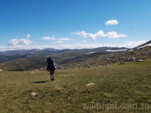 Mount Kosciuszko rises on the horizon