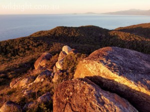 Fitzroy Island, sunrise, summit