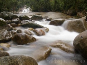 Josephine Falls