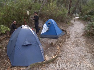 Little Waterloo Bay campsite