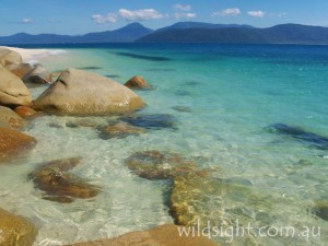 Nudey Beach, Fitzroy Island